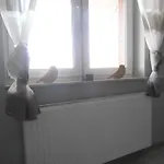 Scandynawski